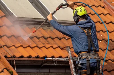 Démoussage et hydrofuge de toiture à Gellainville
